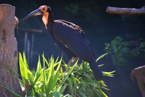 World of Birds Wildlife Sanctuary.